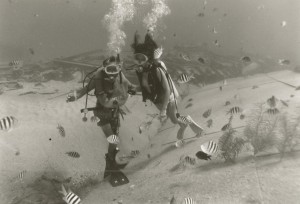 Dual Divers