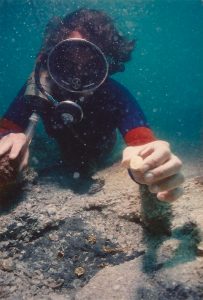 Diver shows gold coin found on the nieves of the 1715 fleet. Credit: John Halas